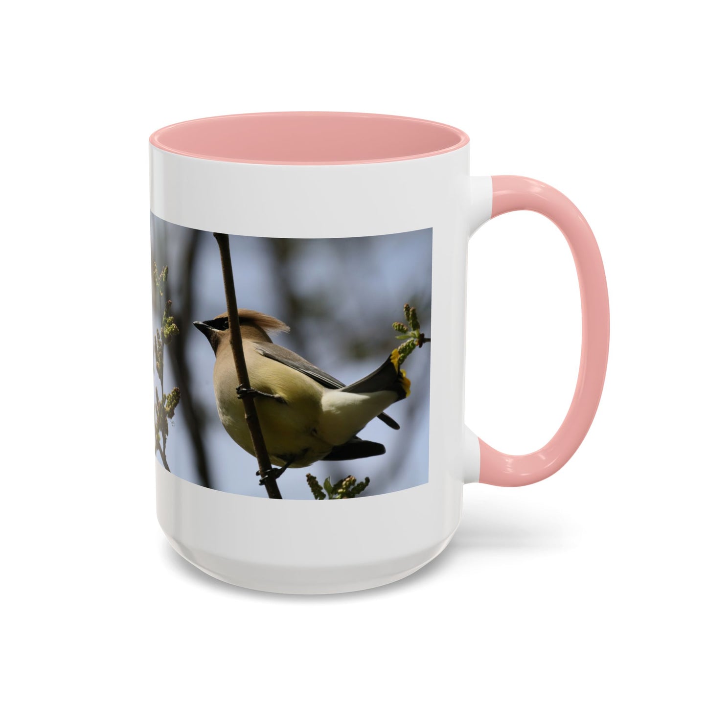 Cedar Waxwing Bird Photo Accent Coffee Mug