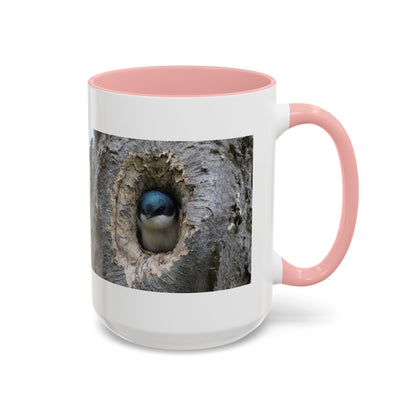 Bluebird in Tree Cavity Accent Coffee Mug — Nature Wildlife Ceramic Mug (11/15oz)