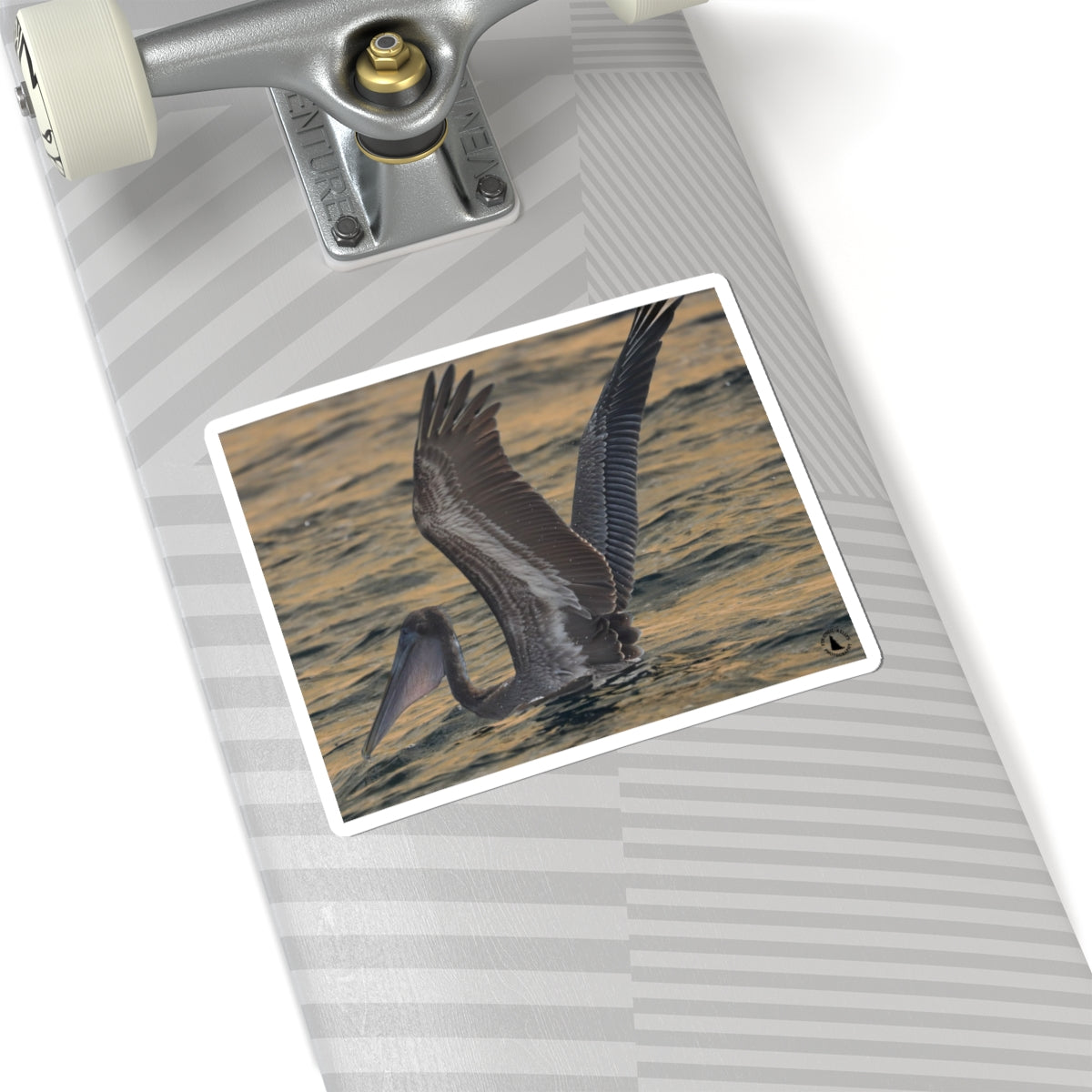 Brown Pelican Kiss-Cut Sticker — Coastal Wildlife Photography Sticker