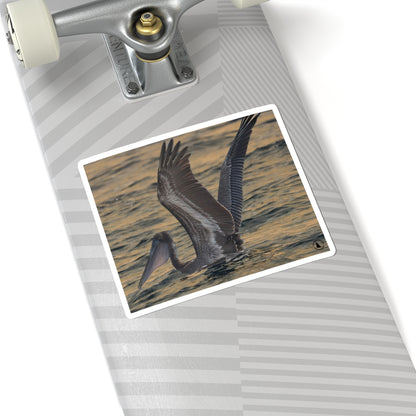 Brown Pelican Kiss-Cut Sticker — Coastal Wildlife Photography Sticker