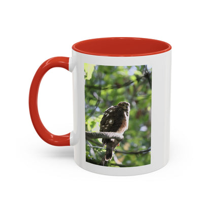 Hawk Perch Accent Coffee Mug (11/15 oz) – Nature Bird Photography