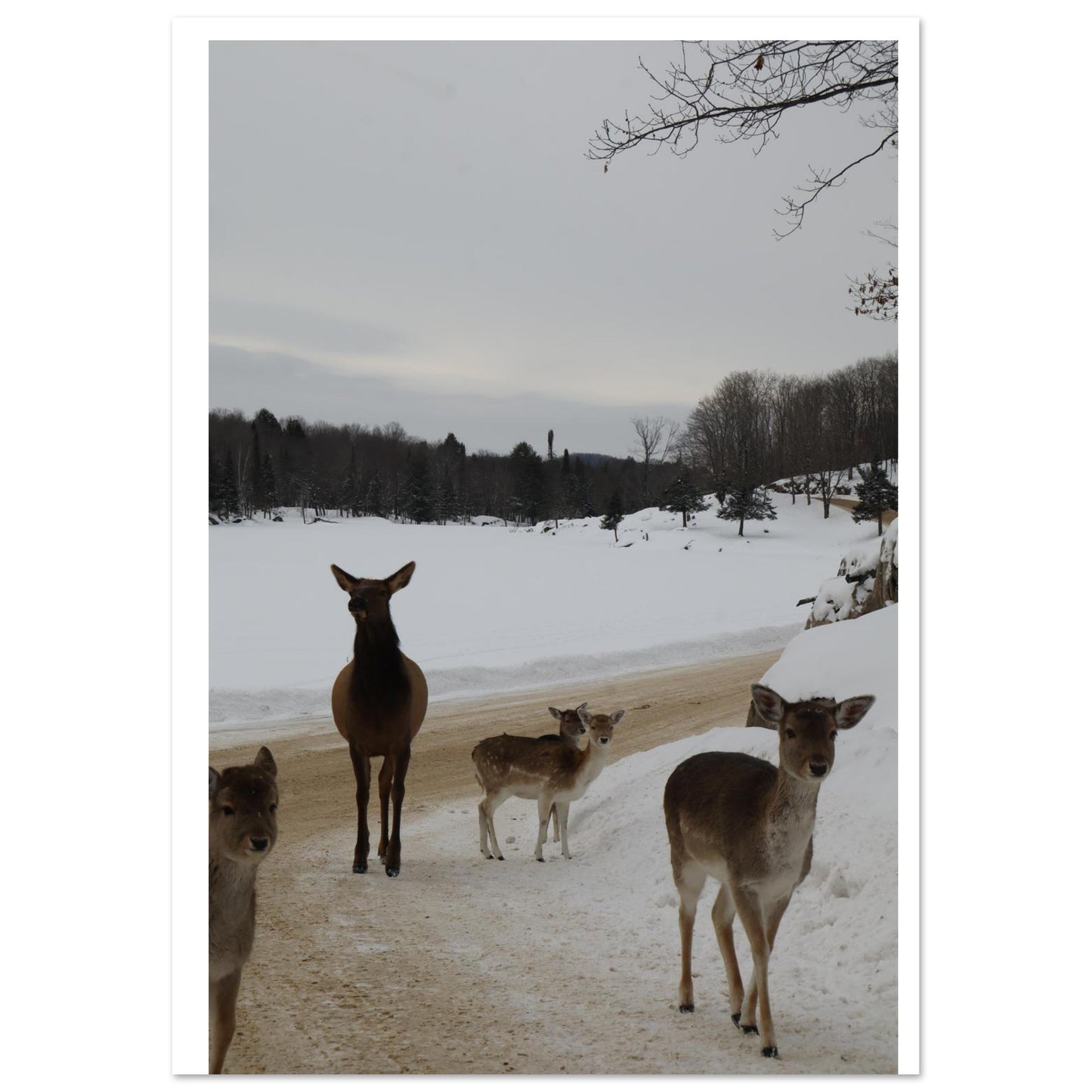 121d9d89-3089-4872-9c3a-7d411ba378a4