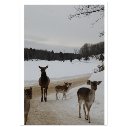 121d9d89-3089-4872-9c3a-7d411ba378a4