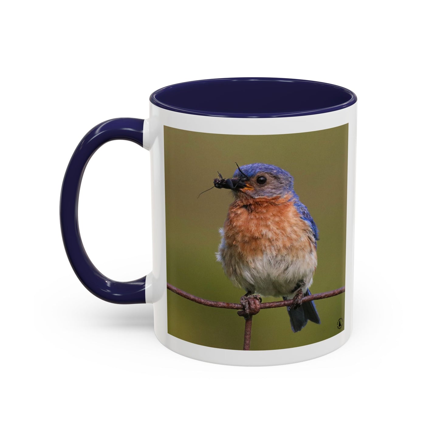 Bluebird Photo Coffee Mug — Eastern Bluebird with Insect Accent Mug (11/15 oz)