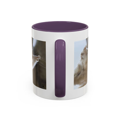 Flying Squirrel Accent Coffee Mug — Cute Wildlife Photo Mug (11/15oz)