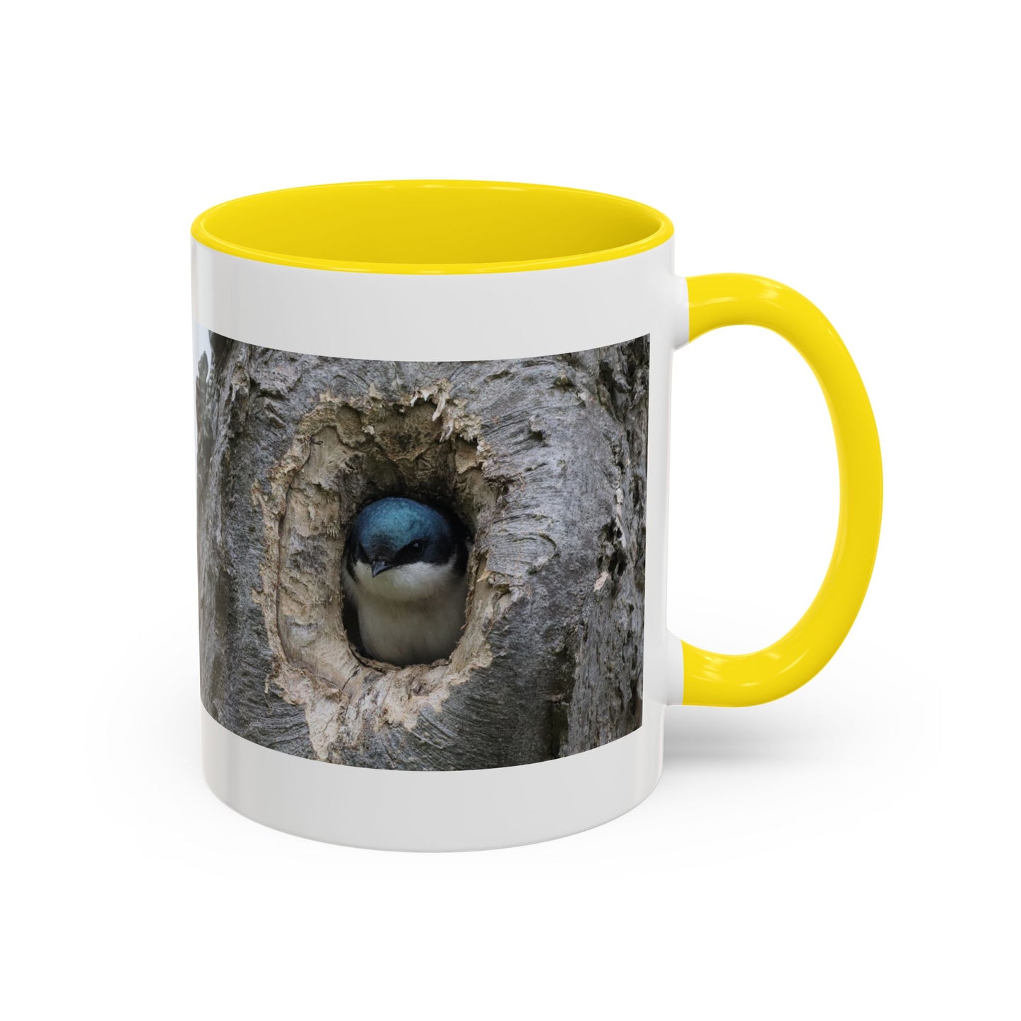 Bluebird in Tree Cavity Accent Coffee Mug — Nature Wildlife Ceramic Mug (11/15oz)