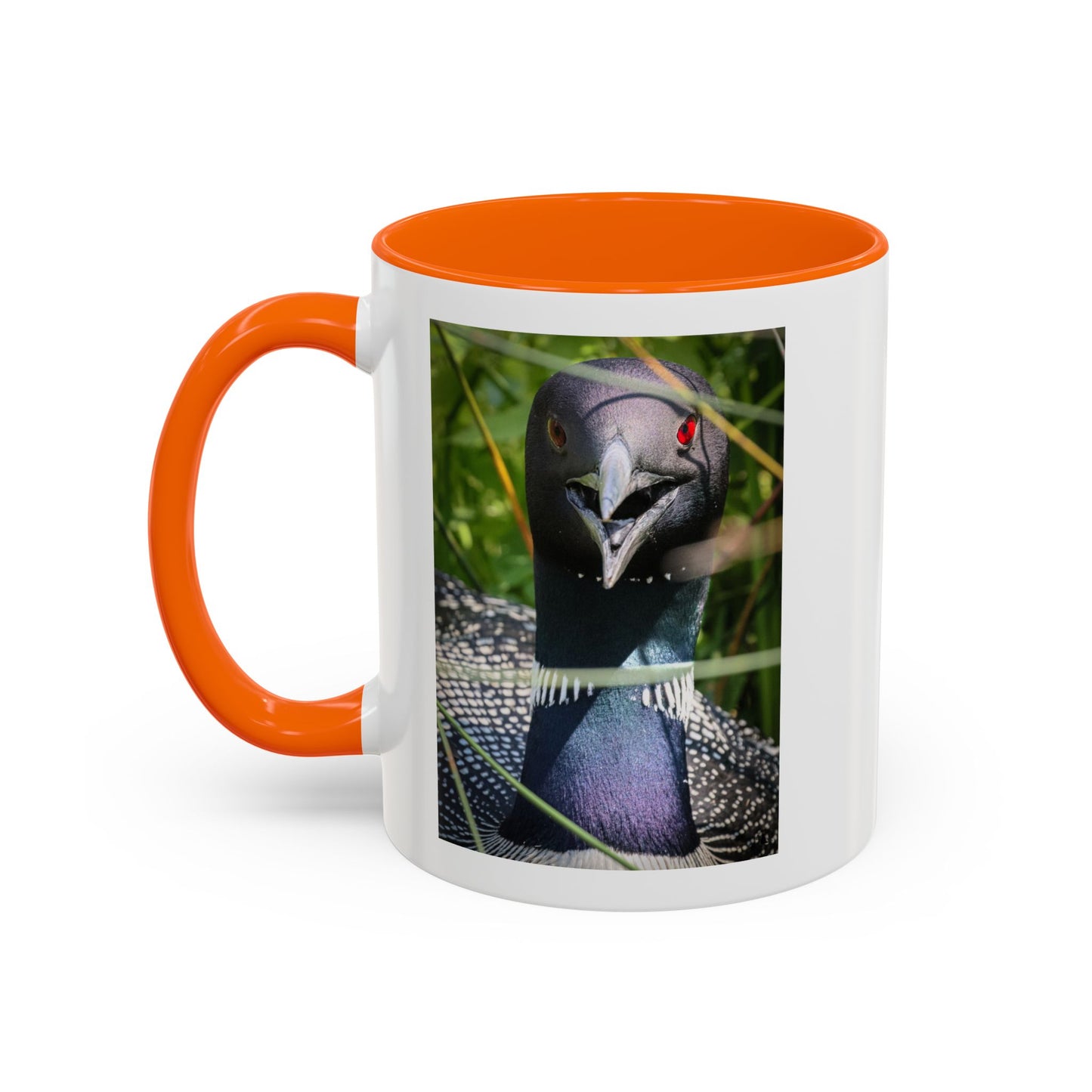 Common Loon Photo Accent Coffee Mug (11/15oz)