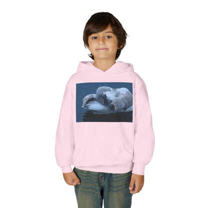 Youth Hoodie with Sleeping Swan Photo — Cozy Wildlife Sweatshirt
