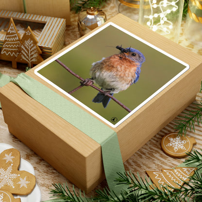 Eastern Bluebird Photo Kiss-Cut Sticker — Nature Bird Laptop Decal