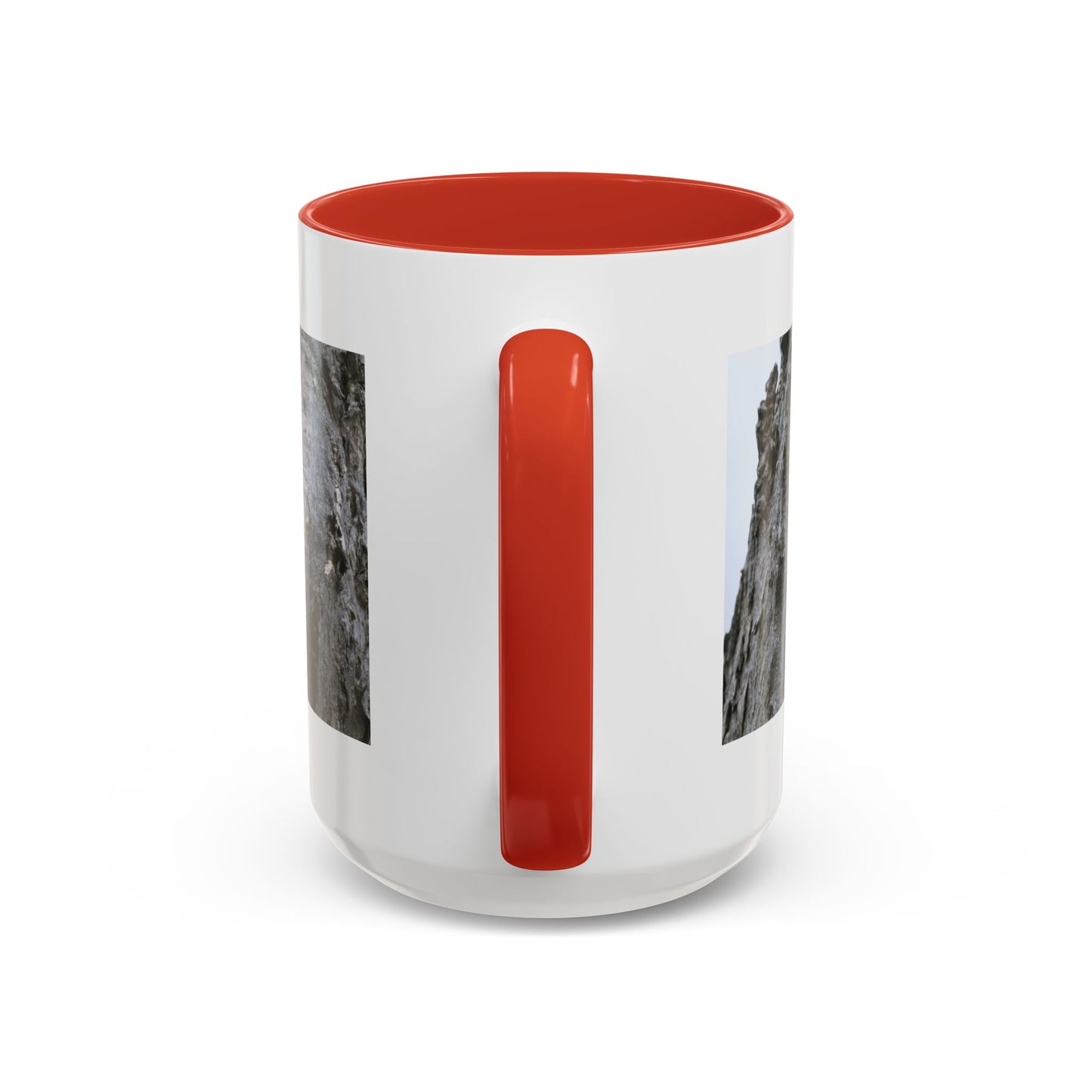 Bluebird in Tree Cavity Accent Coffee Mug — Nature Wildlife Ceramic Mug (11/15oz)