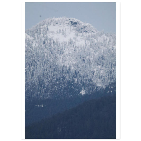 123762bb-1f47-44d4-a381-89d21cbce28f