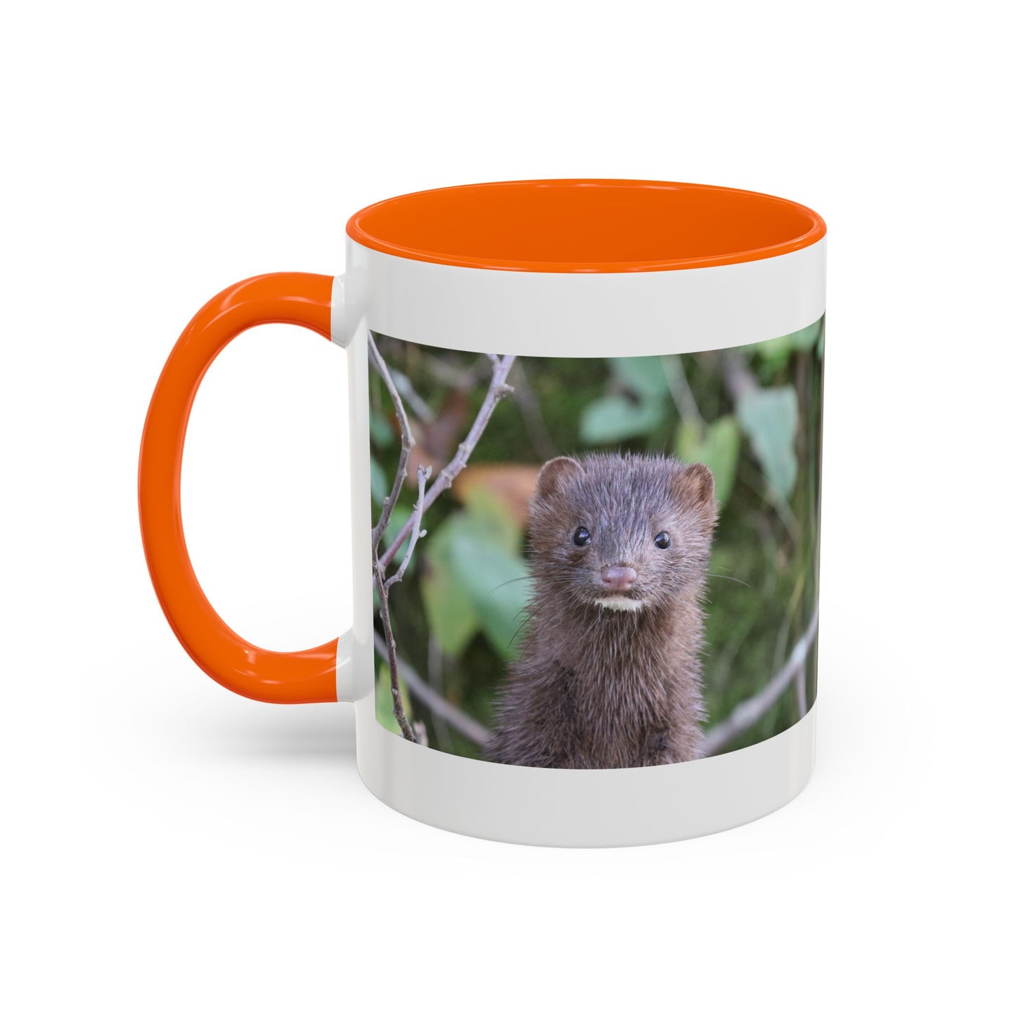 Cute Mink Photo Accent Mug – Wildlife Photography Coffee Cup (11/15 oz)