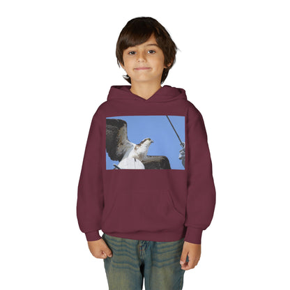 Youth Osprey Photo Hoodie — Kids Birdwatching Nature Pullover