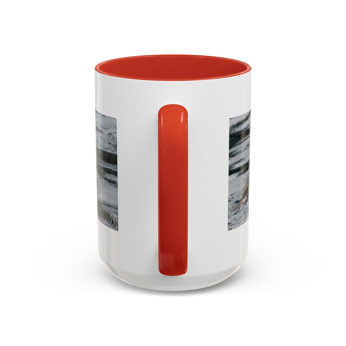 Goldeneye Duck Photo Accent Coffee Mug — Wildlife Nature Lover Gift (11/15 oz)