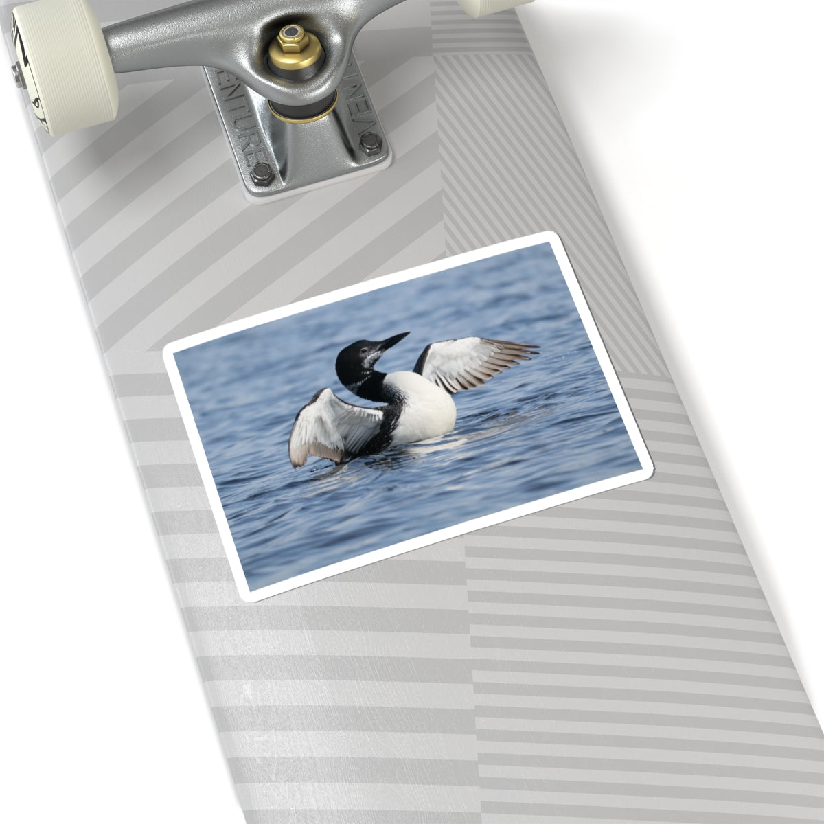 Common Loon Photo Sticker — Waterproof Kiss-Cut Sticker of Loon on Water