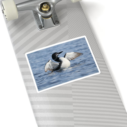 Common Loon Photo Sticker — Waterproof Kiss-Cut Sticker of Loon on Water