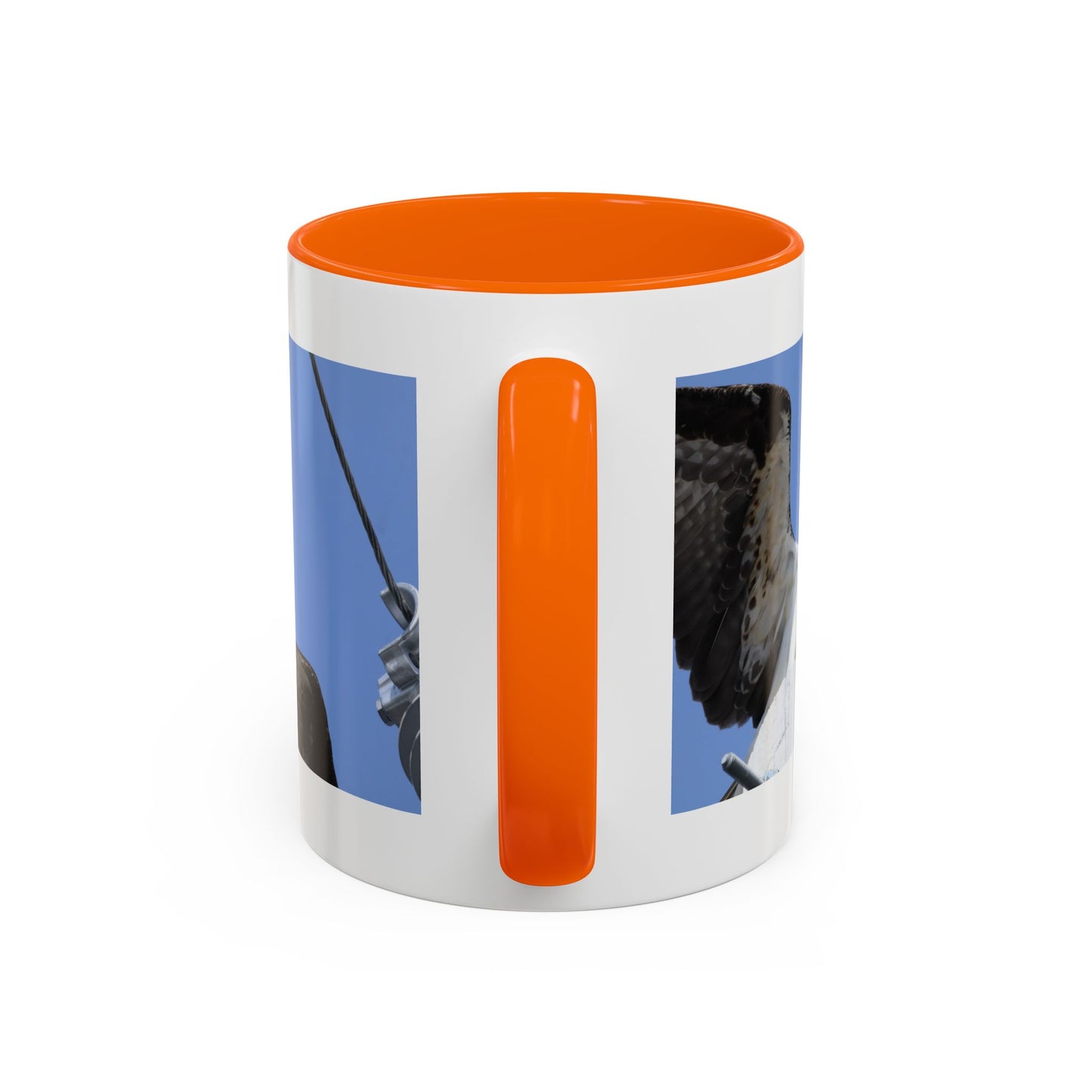 Osprey Photo Accent Coffee Mug – Wildlife Bird Photography Drinkware (11/15 oz)