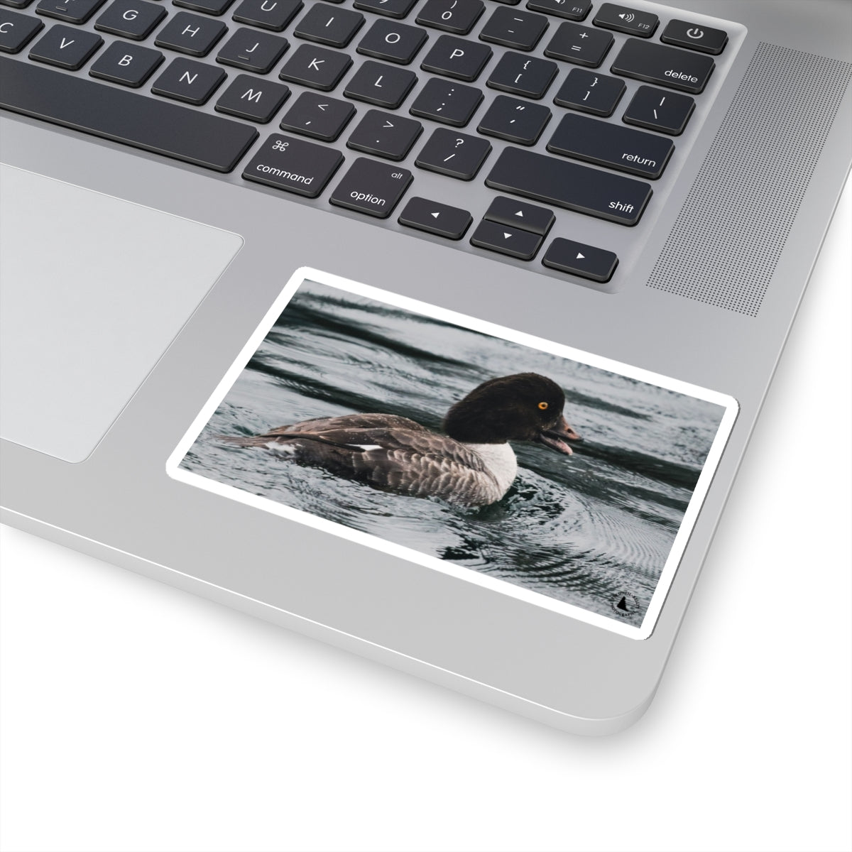 Kiss-Cut Sticker — Realistic Duck on Water Photograph | Waterproof Laptop Decal