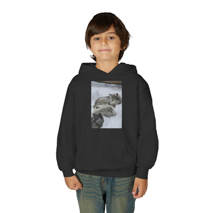 Sleeping Foxes Youth Hoodie | Wildlife Photography, Snow Scene
