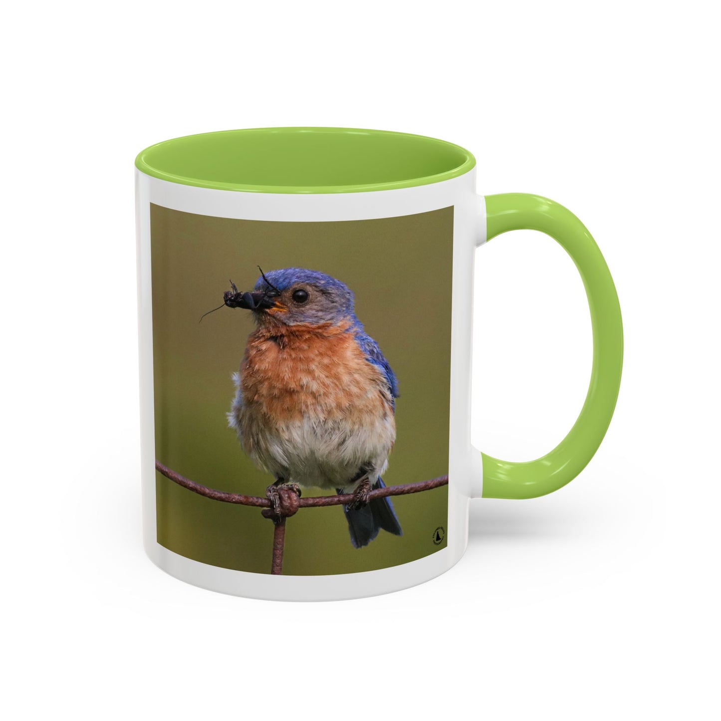 Bluebird Photo Coffee Mug — Eastern Bluebird with Insect Accent Mug (11/15 oz)