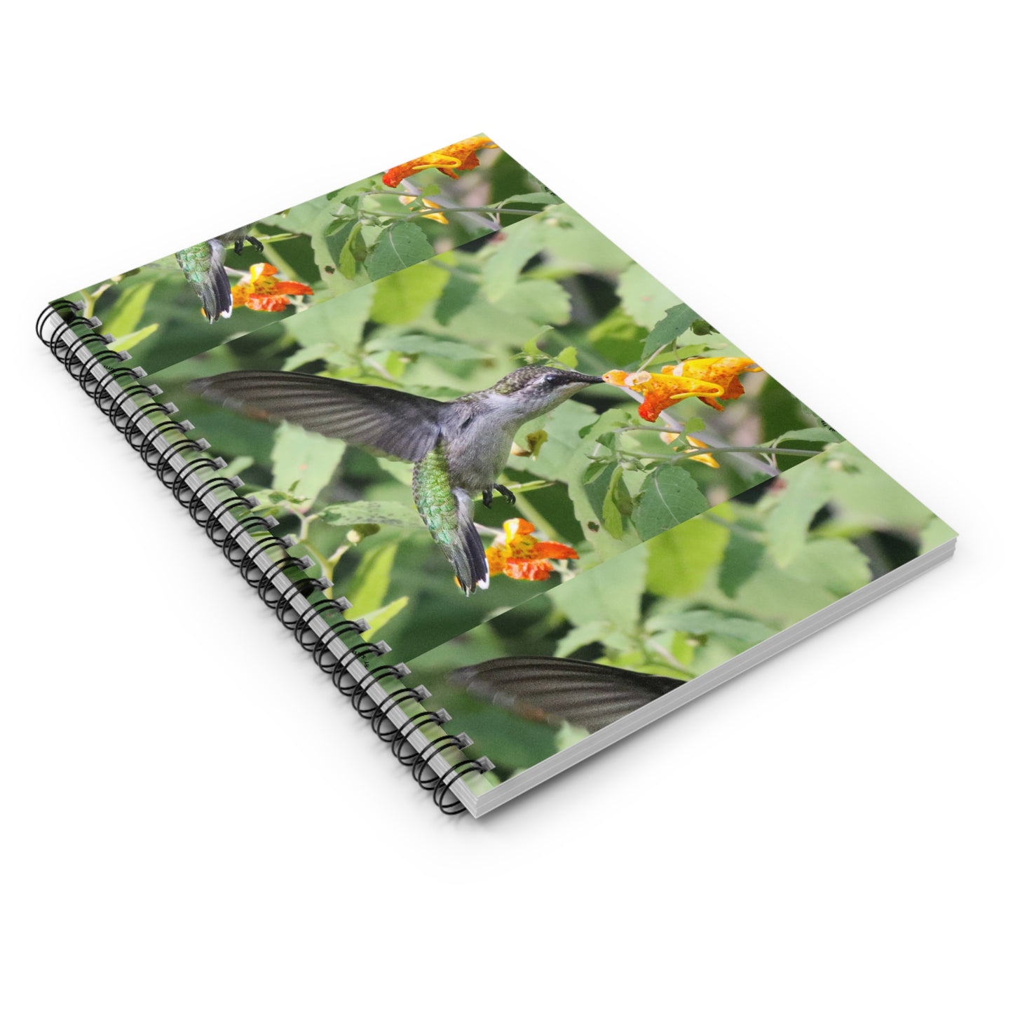 Hummingbird Floral Spiral Notebook — Ruled Journal for Nature Lovers