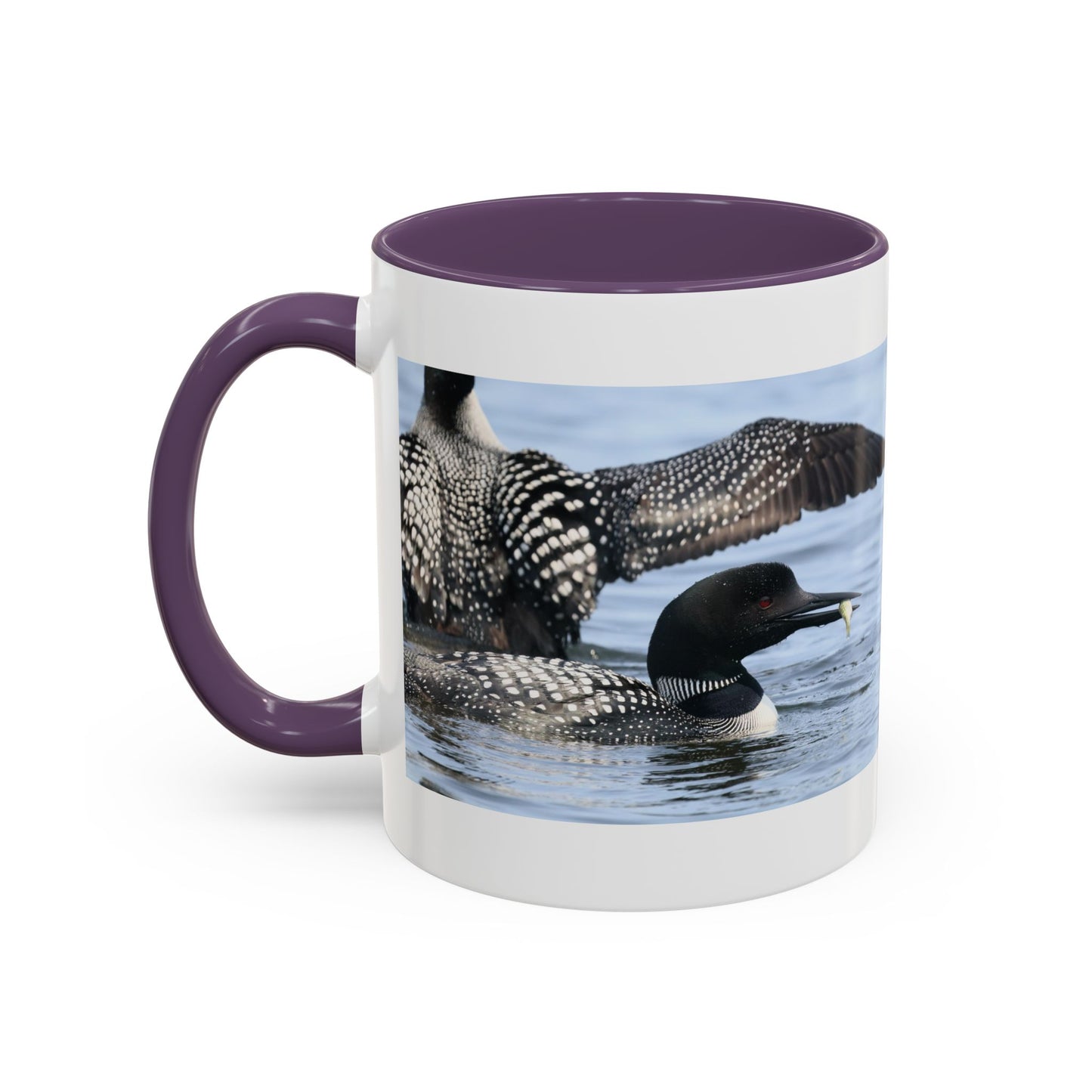 Common Loon Accent Coffee Mug – Wildlife Photography Bird Lover Gift (11/15oz)