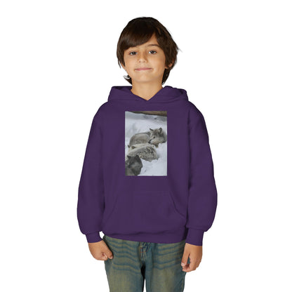 Sleeping Foxes Youth Hoodie | Wildlife Photography, Snow Scene