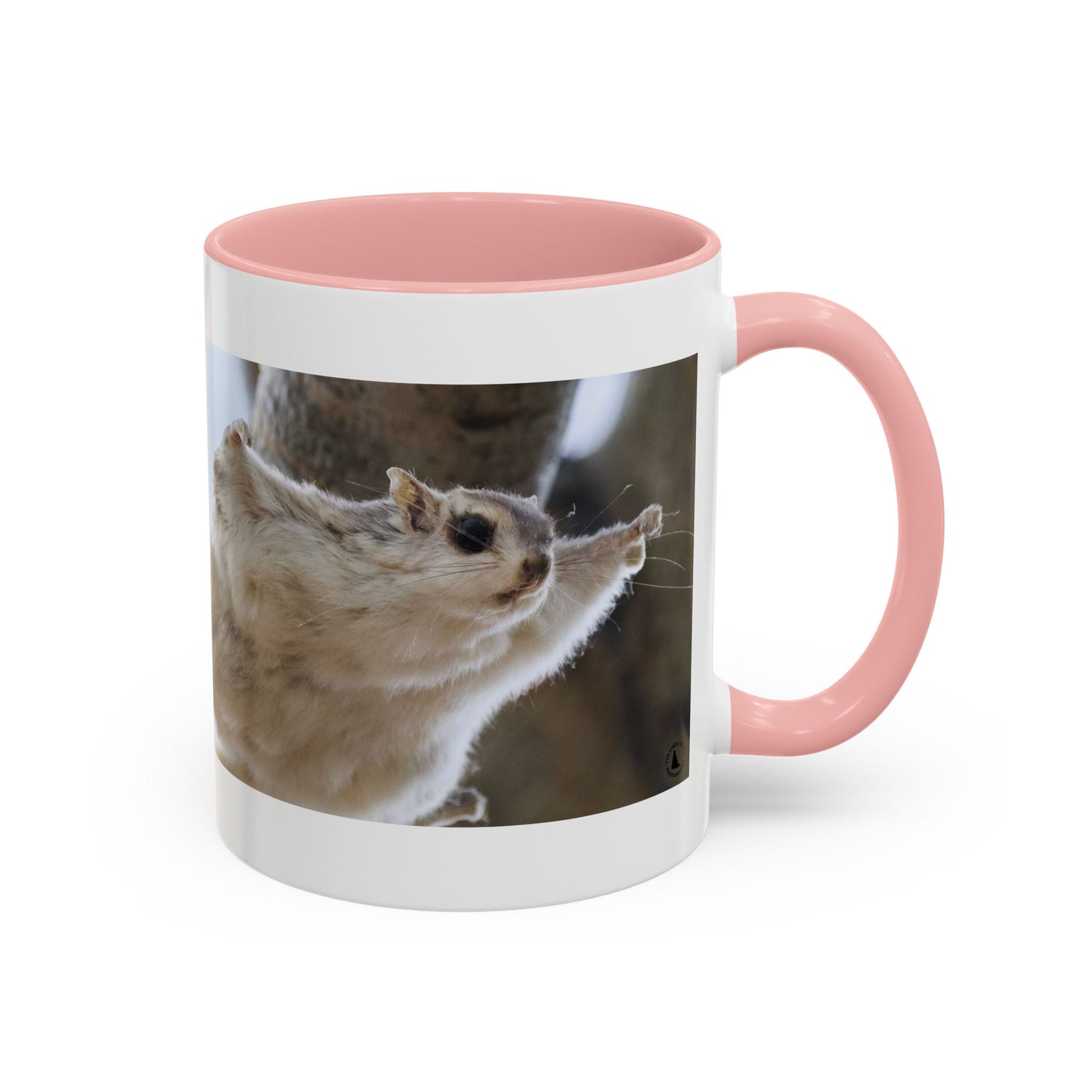 Flying Squirrel Accent Coffee Mug — Cute Wildlife Photo Mug (11/15oz)