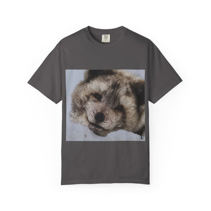 Arctic Tranquility: Serene Wildlife Portrait, Arctic Fox Close-Up Photographyphotography shirts