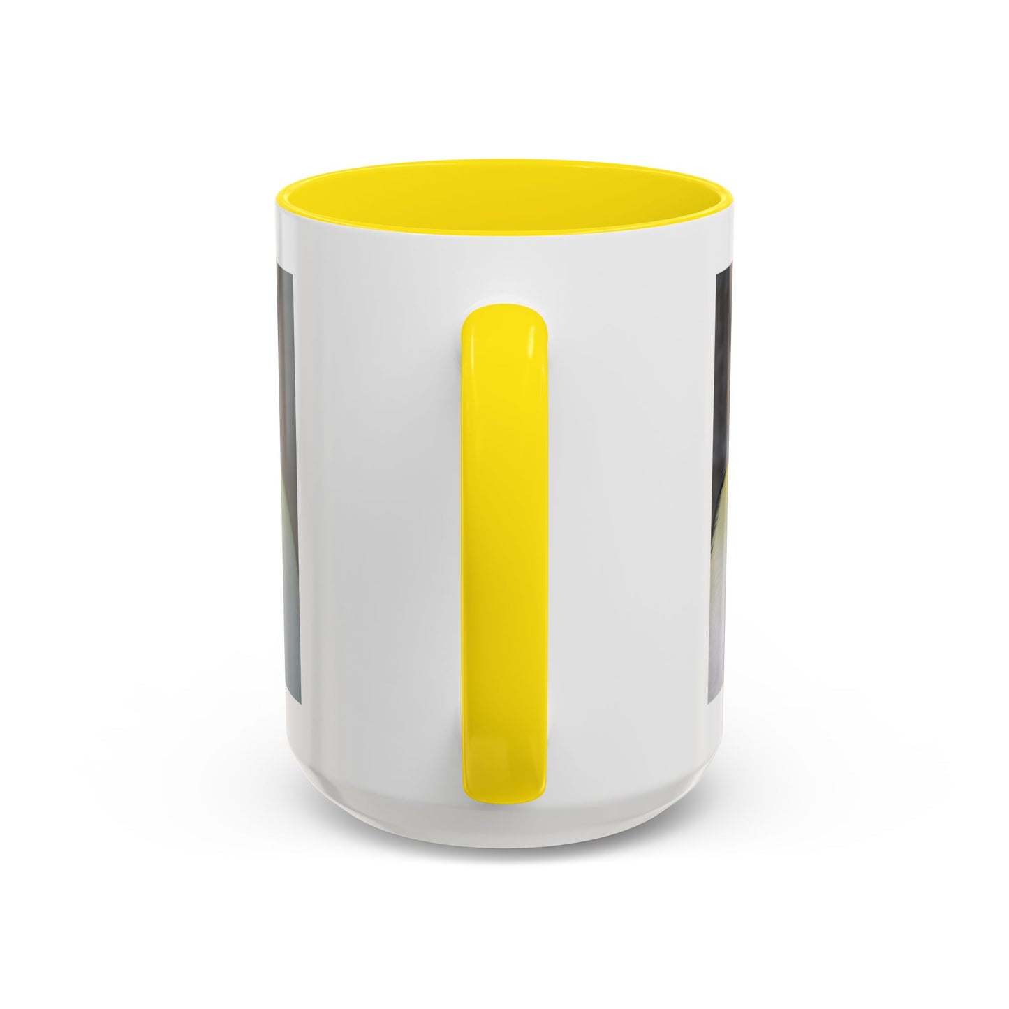 King Penguin Photo Coffee Mug — Cute Wildlife Accent Mug (11/15oz)