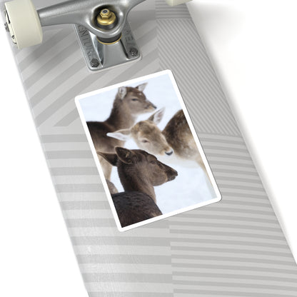 Deer Herd Kiss-Cut Sticker — Winter Wildlife Photo Sticker