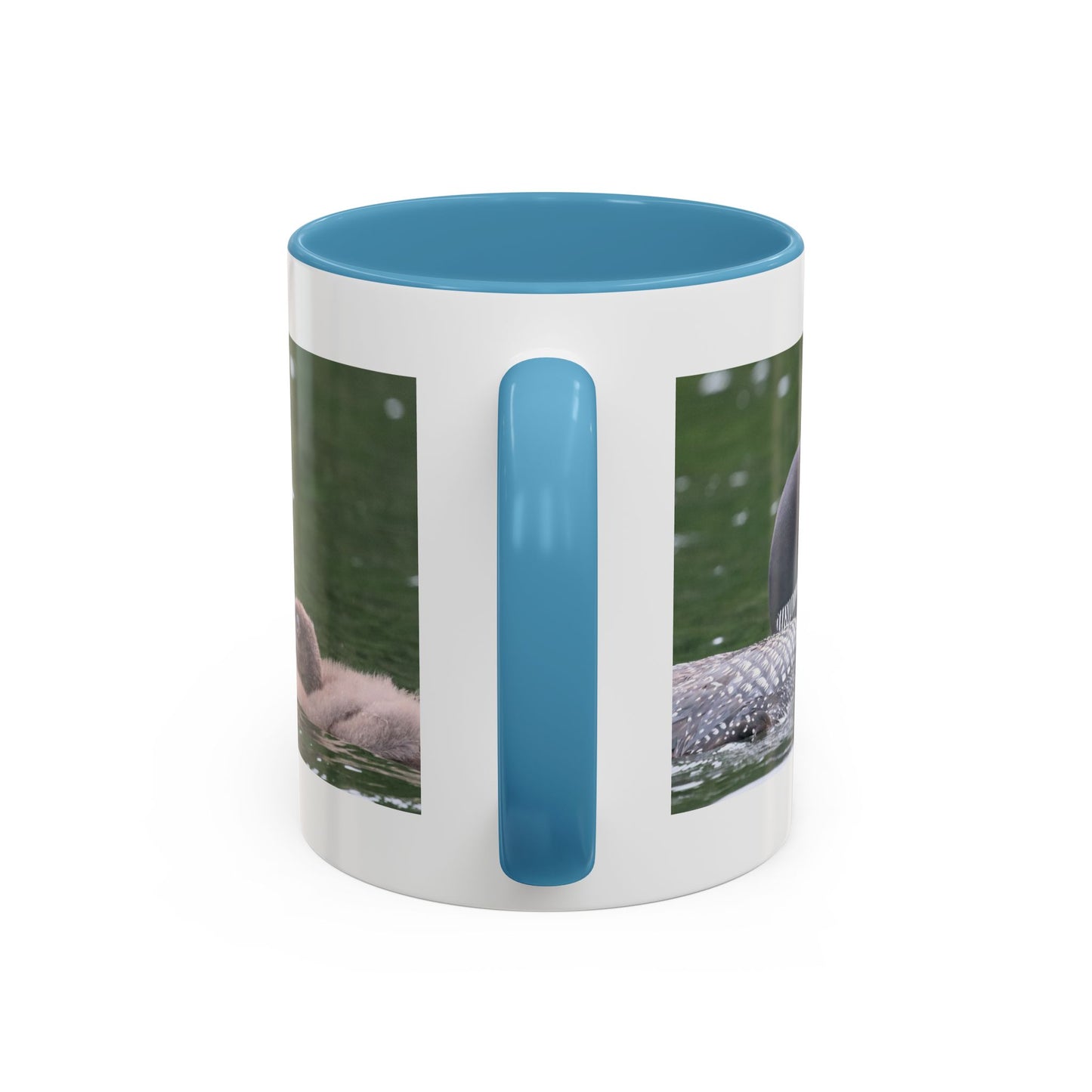 Loon Family Accent Coffee Mug – Wildlife Photo Tea Mug (11/15 oz)