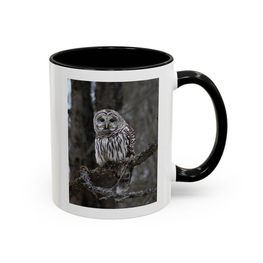 Barred Owl Accent Coffee Mug — Nature Photography Bird Lover Gift (11/15oz)
