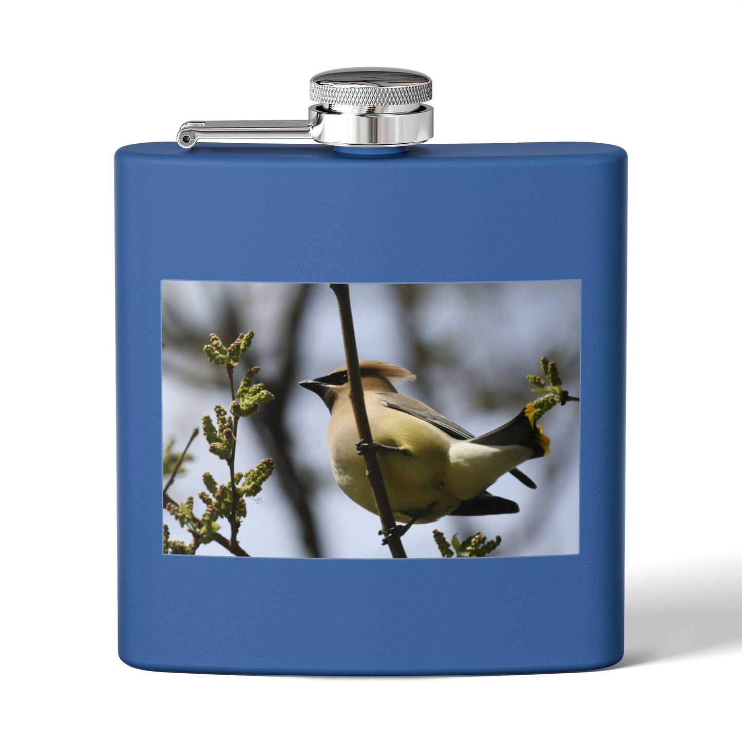 6oz Stainless Steel Flask with Cedar Waxwing Bird Photo — Wildlife Gift for Bird Lovers