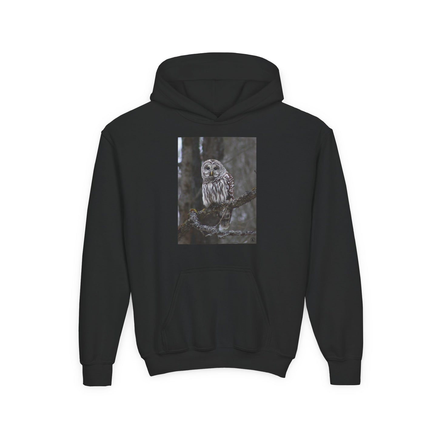 Owl Portrait Youth Hoodie — Realistic Forest Owl Graphic