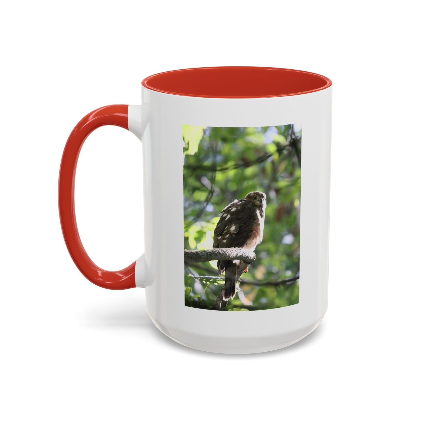 Hawk Perch Accent Coffee Mug (11/15 oz) – Nature Bird Photography