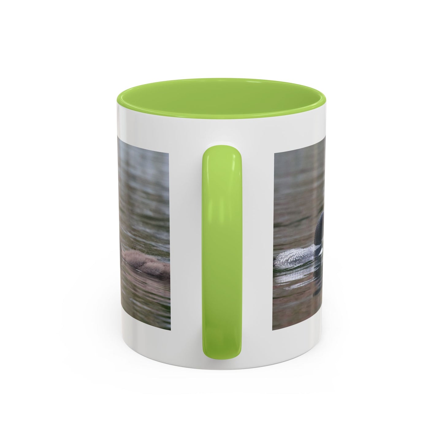 Bufflehead Duck Photo Accent Coffee Mug — Nature Lover Wildlife Gift (11/15oz)