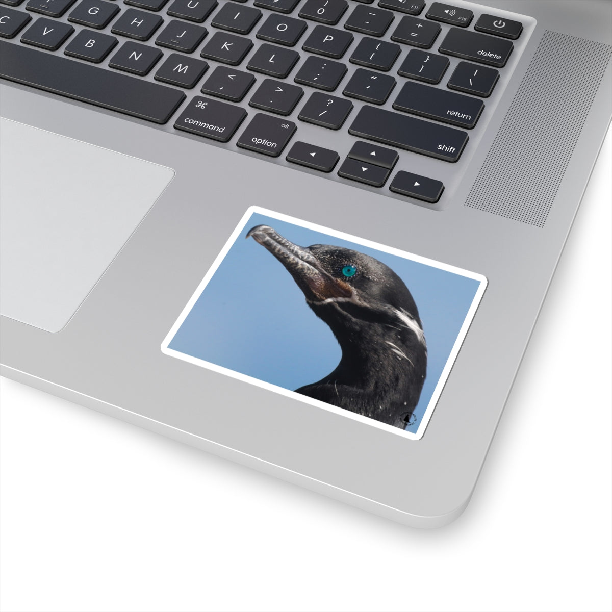 Blue-Eyed Cormorant Kiss-Cut Sticker — Wildlife Laptop Decal