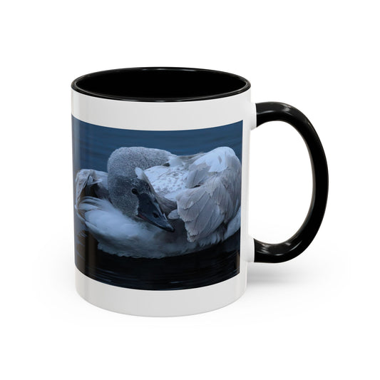 Swan Photo Accent Coffee Mug — Serene Waterfowl Morning 11/15oz