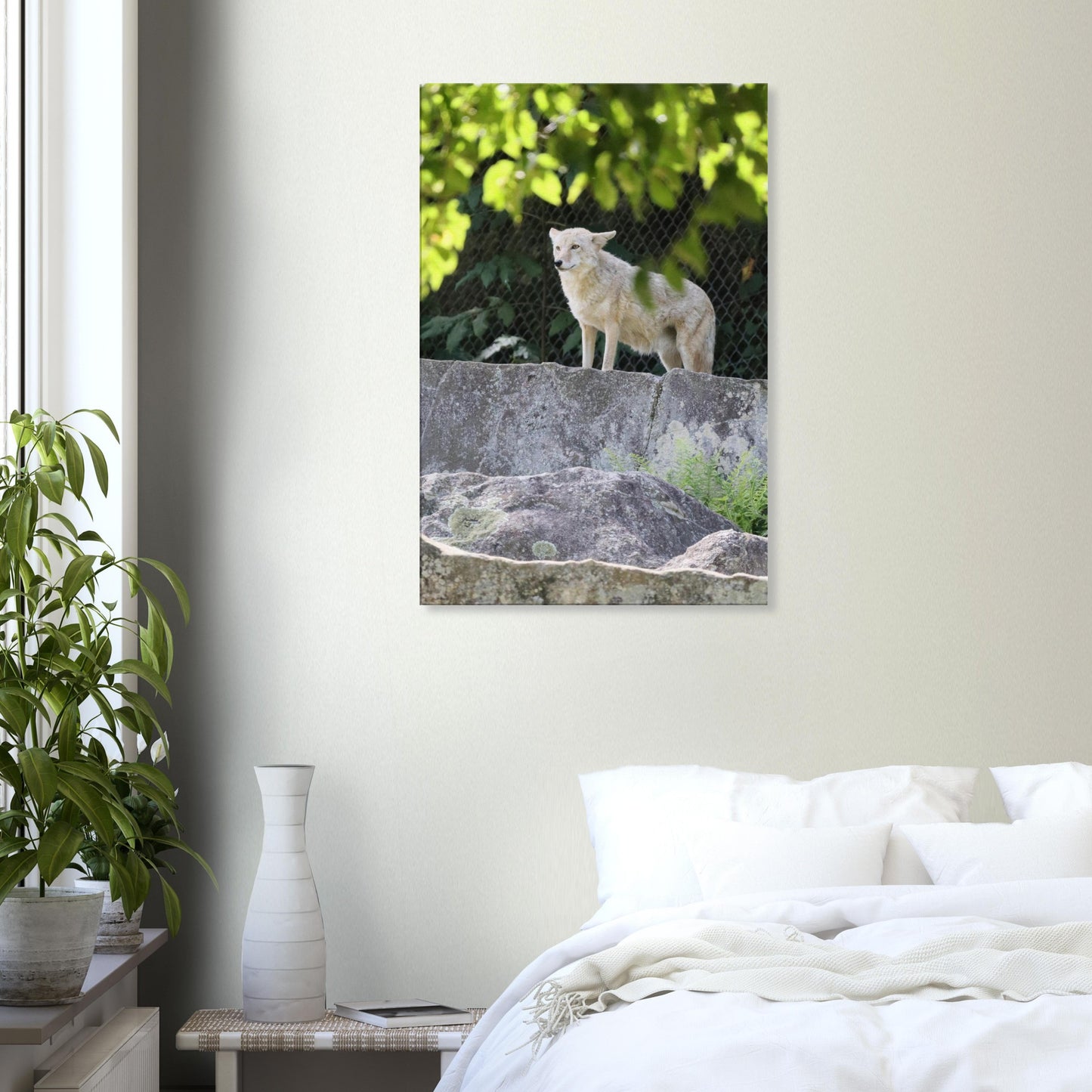 1292ff63-b0c9-404e-9777-23c85db66dbd