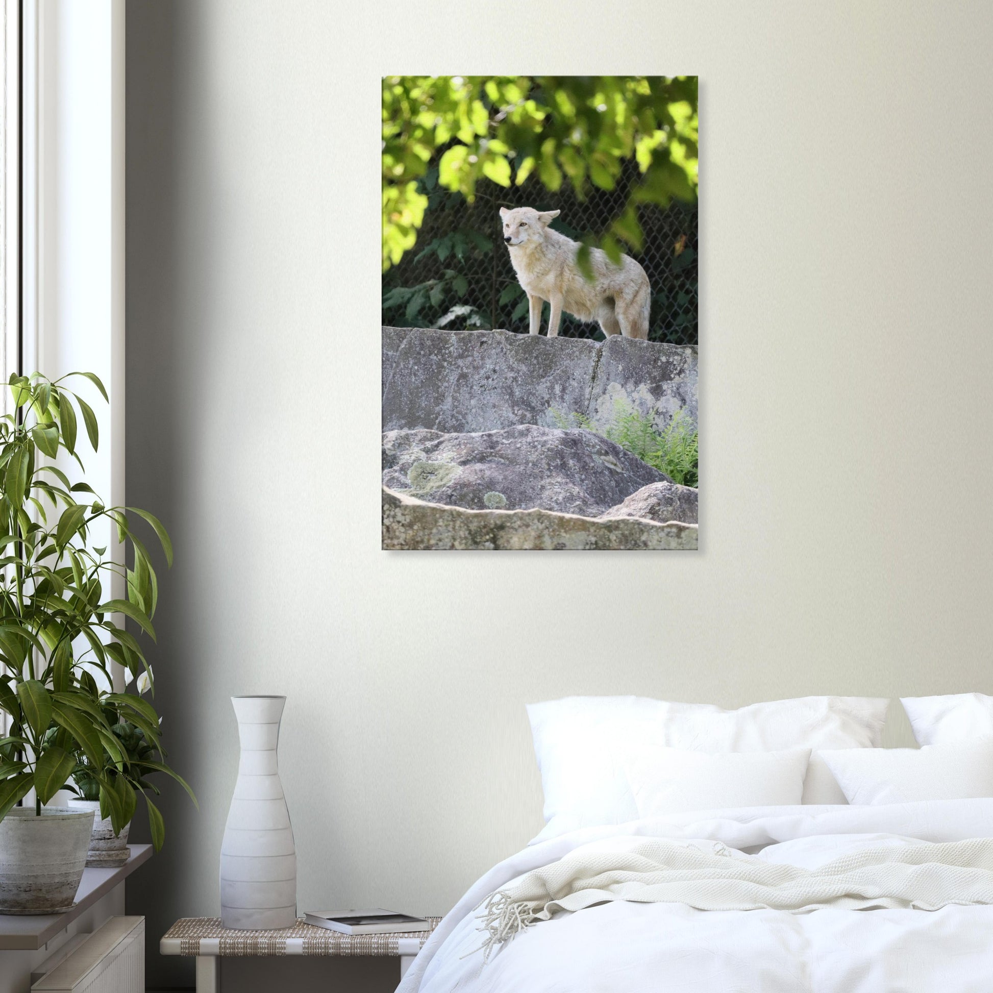 1292ff63-b0c9-404e-9777-23c85db66dbd