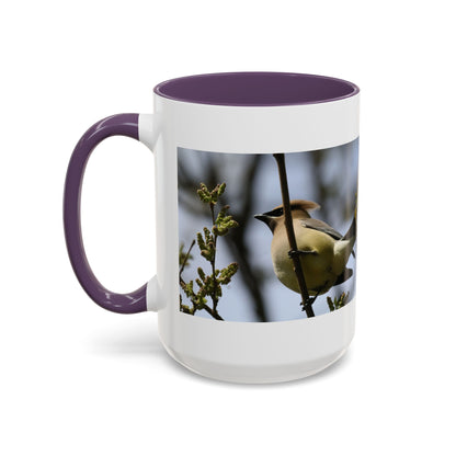 Cedar Waxwing Bird Photo Accent Coffee Mug