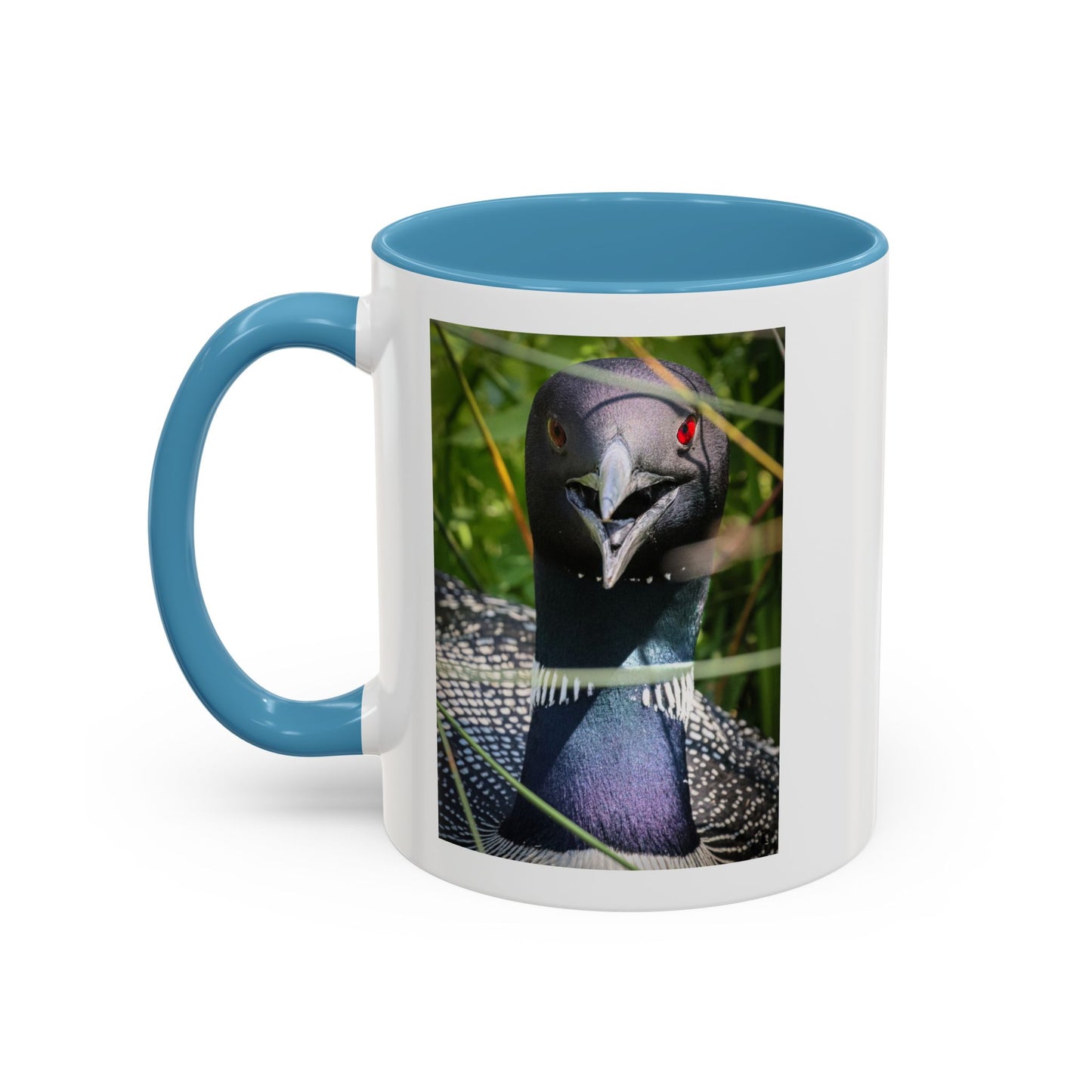 Common Loon Photo Accent Coffee Mug (11/15oz)