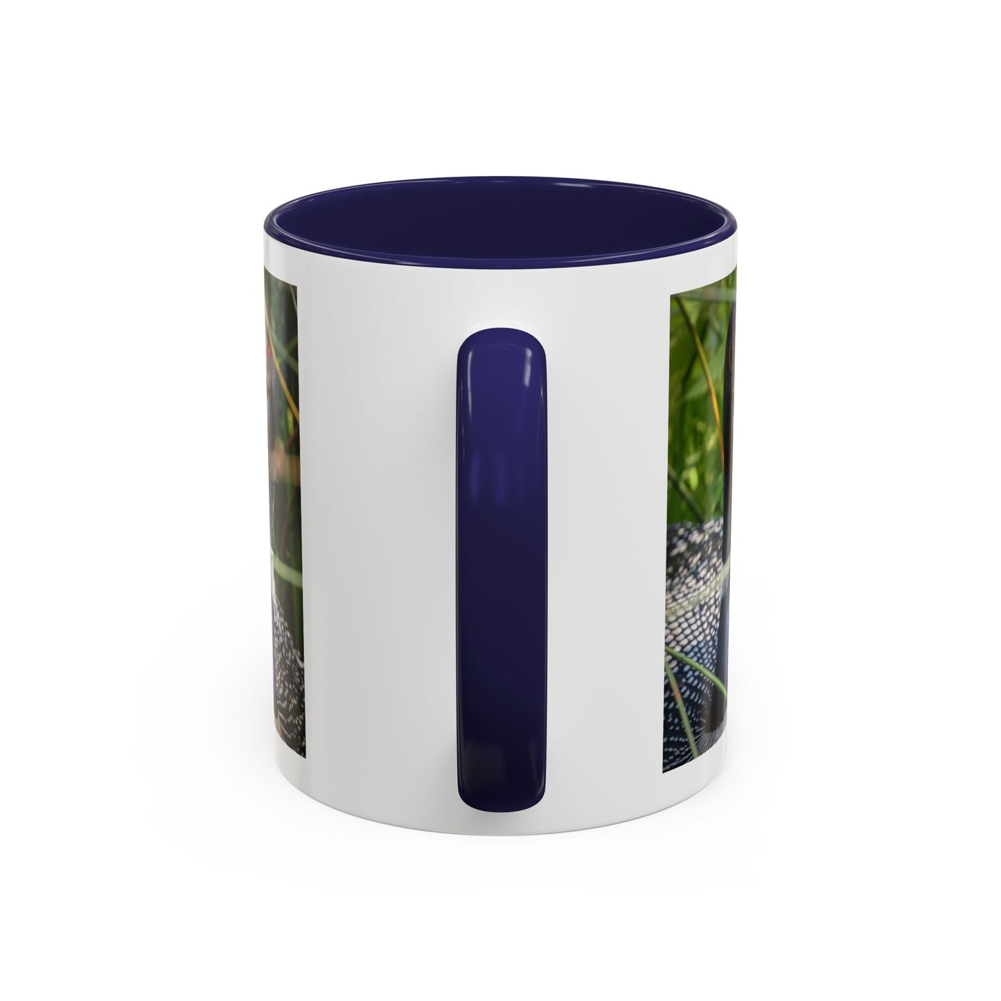 Common Loon Photo Accent Coffee Mug (11/15oz)