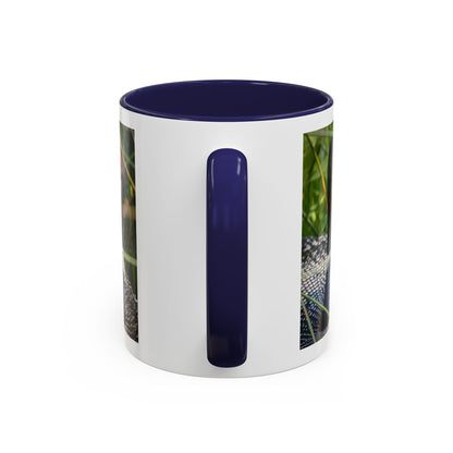 Common Loon Photo Accent Coffee Mug (11/15oz)
