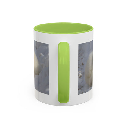 Arctic Fox Photo Accent Coffee Mug – Winter Wildlife Ceramic Mug (11/15oz)
