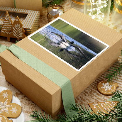 Loon Landing Photo Sticker — Waterproof Kiss-Cut Nature Decal