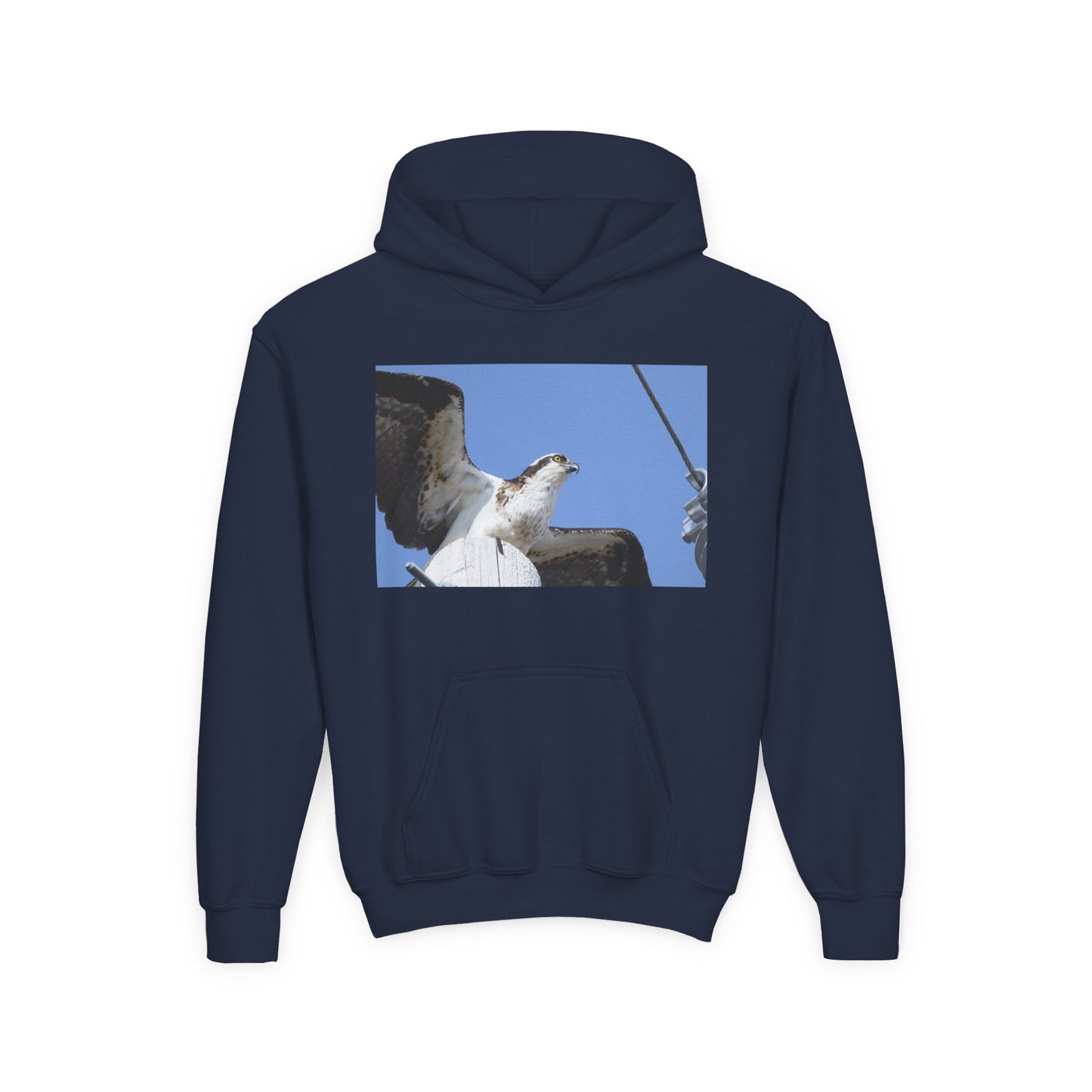 Youth Osprey Photo Hoodie — Kids Birdwatching Nature Pullover
