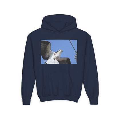 Youth Osprey Photo Hoodie — Kids Birdwatching Nature Pullover