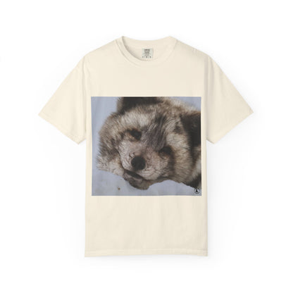 Arctic Tranquility: Serene Wildlife Portrait, Arctic Fox Close-Up Photographyphotography shirts